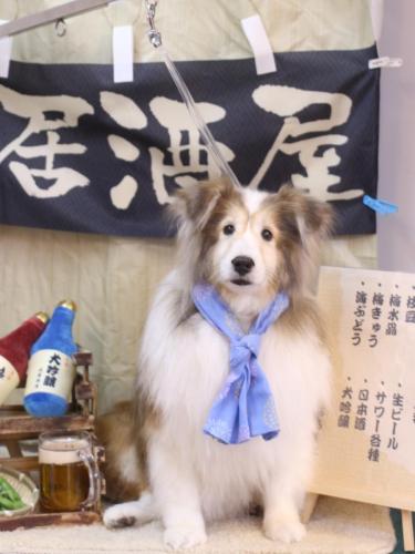 20240623カレンちゃん